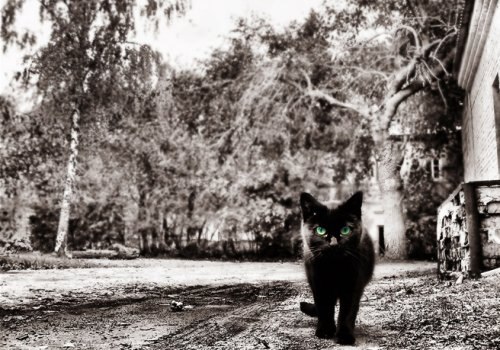 №17, Илья Ясинский, 9.2.1990 №17, Илья Ясинский, 9.2.1990