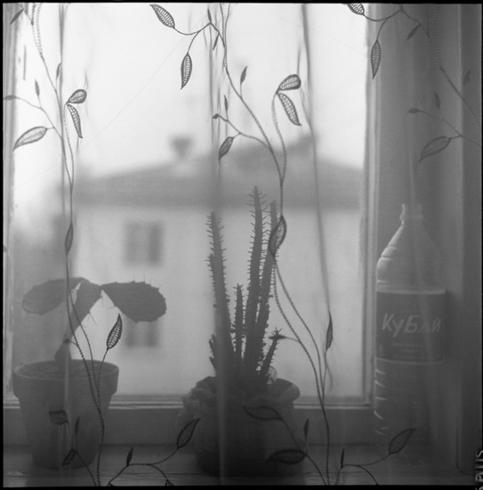 №102, Татьяна Смирнова, Краснодар №102, Татьяна Смирнова, Краснодар