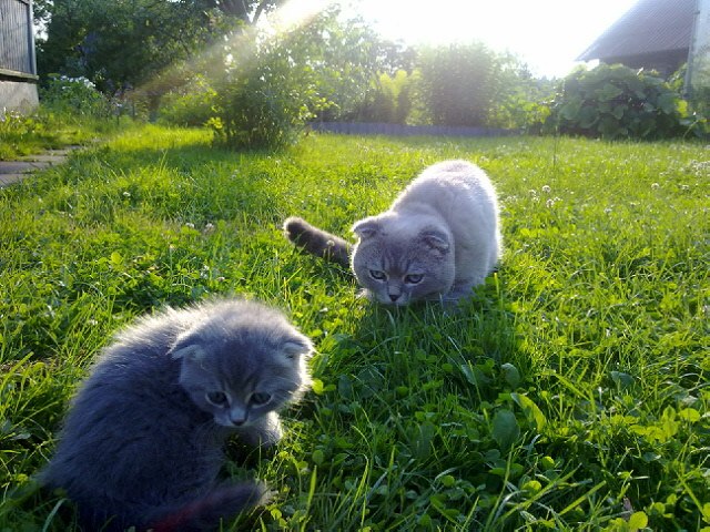 Анна Ревенкова | Минск