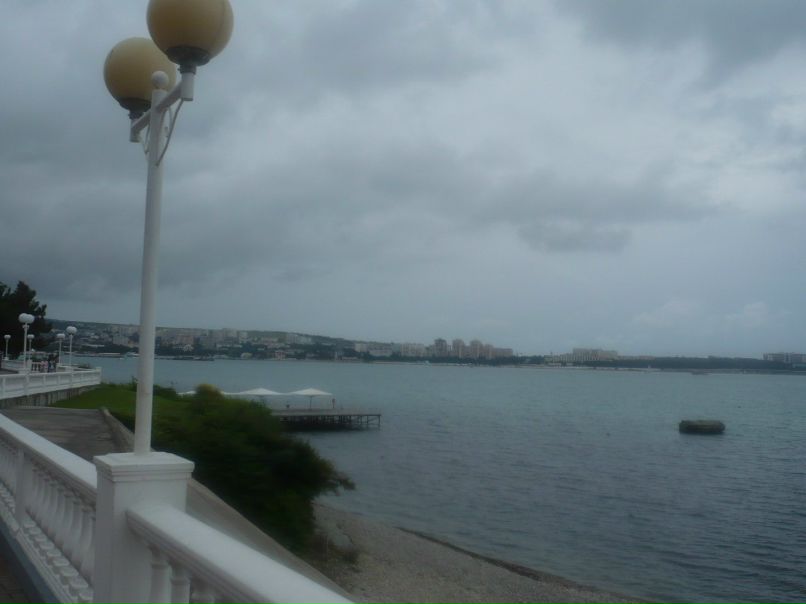 Наталья Гейтман fox | Москва