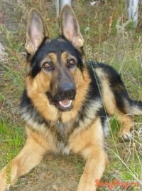 Ванко Пират | Санкт-Петербург