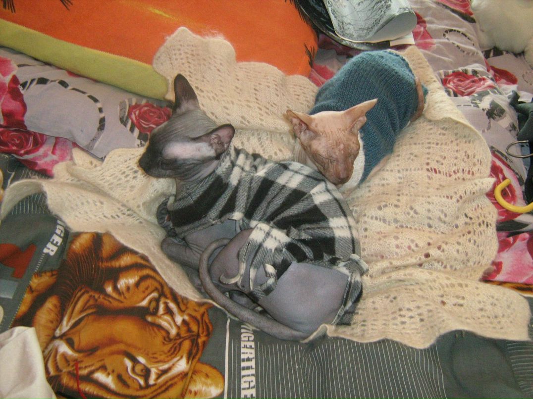 Кристина Сенчугова ♥^√V''^√\√V''^√\♥ | Владимир