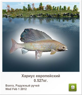 Геннадий Горячев | Череповец