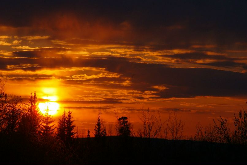 Иван Босниец | 