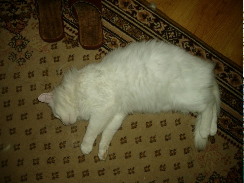 Вика Абрамова | Хотьково