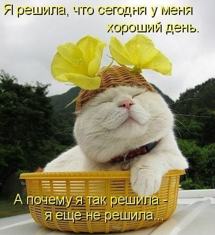 Евгения Латош | Вологда