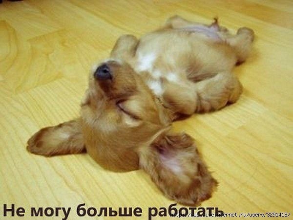 Татьяна Чистякова | Красноярск