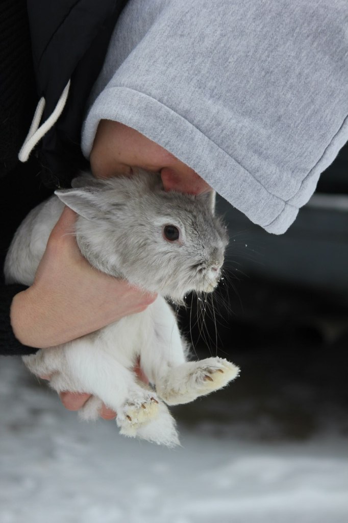 Михаил Саркисов | Таганрог