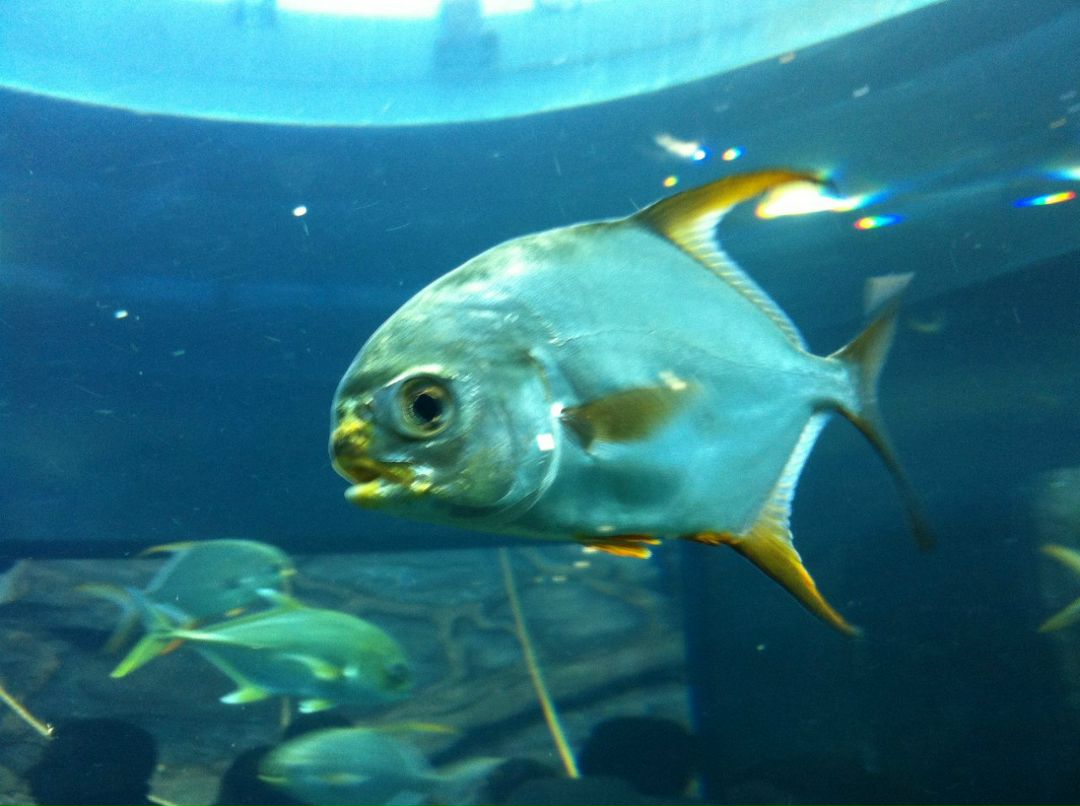 Станислав Беленький | Москва