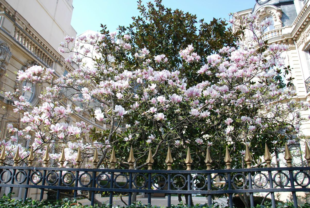 Катя Вострикова | Санкт-Петербург