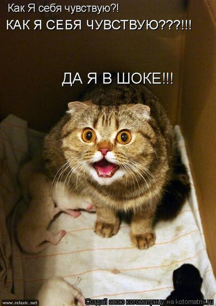 №61, Назар Плитонов, 27 лет, Чортков №61, Назар Плитонов, 27 лет, Чортков