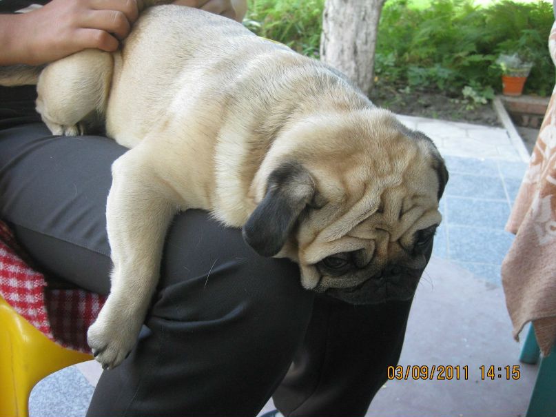 Елена Ломакина | Харьков