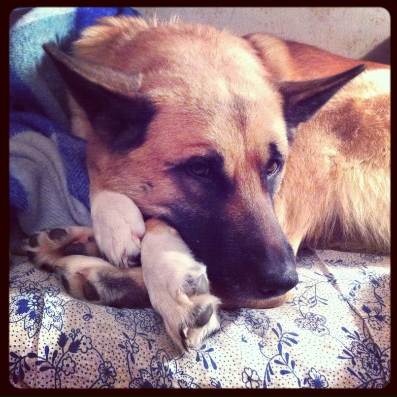 Алексеич Банделеич | 