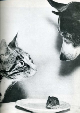 №76, Владимир Логойский, Минск №76, Владимир Логойский, Минск