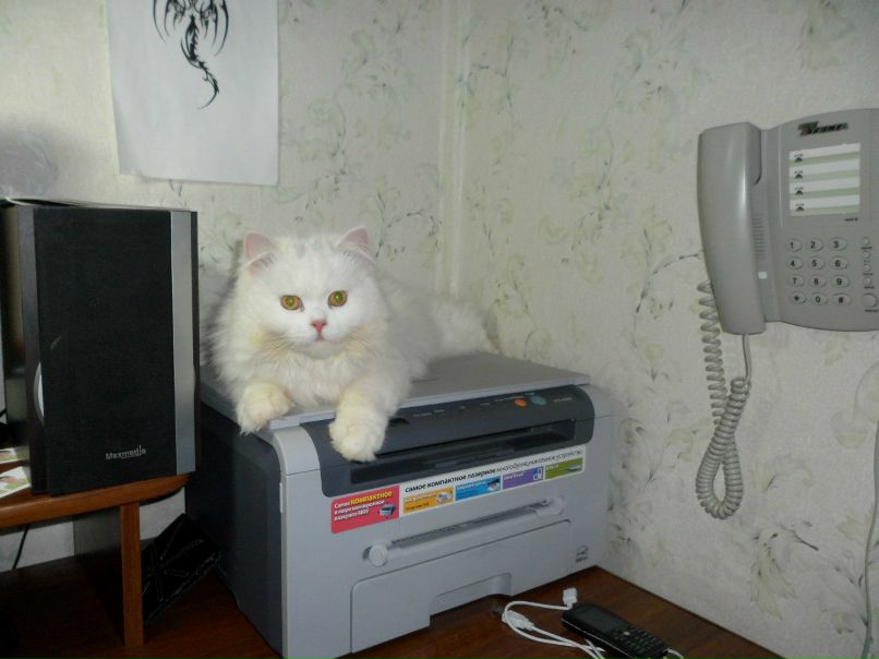 Дмитрий Акунеев | Бузулук