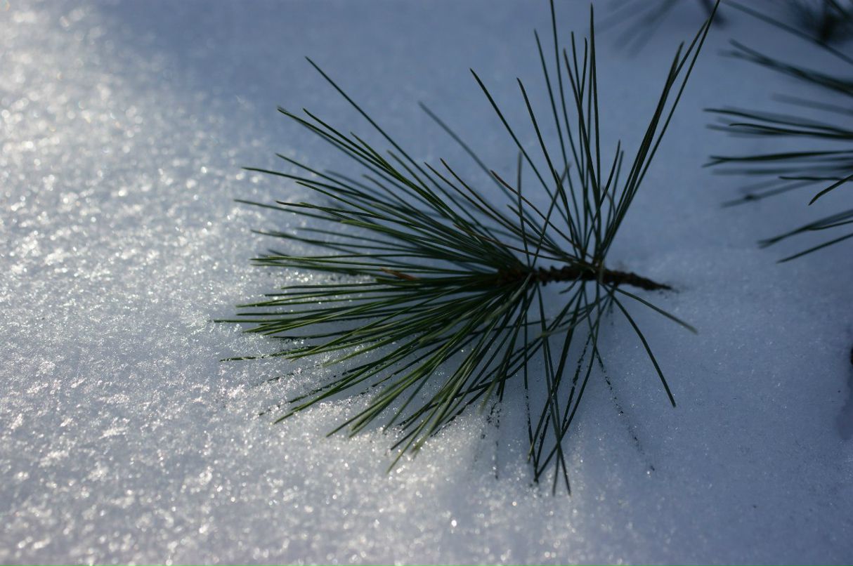 Мария Чудесникова Грейс | Москва