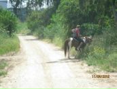 №13 Alexandra Spektor 24.05.1984: профиль, фото, статус - ВКонтакте