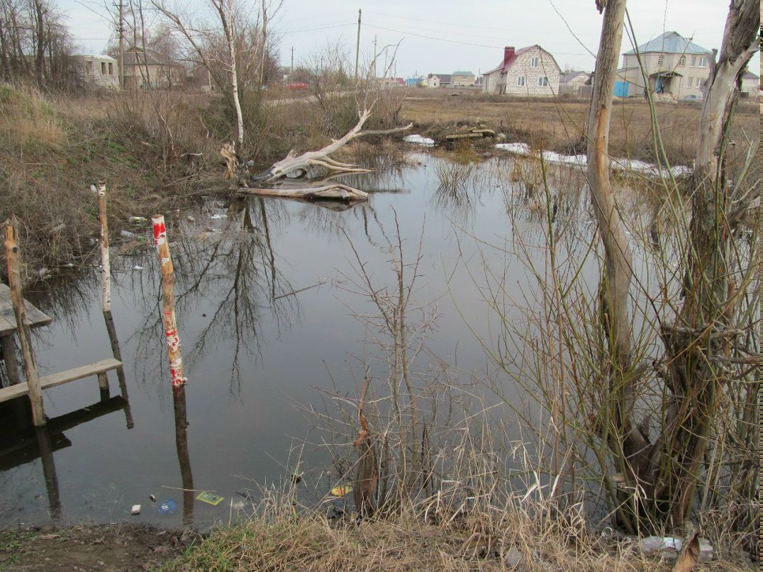 Анна Бергер | 