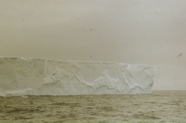 №5, Андрей , Москва, Россия №5, Андрей , Москва, Россия