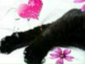 Катерина Парфиевич | Нижний Тагил