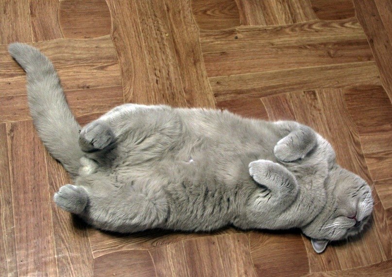 Федор Удавиченко | Тюмень