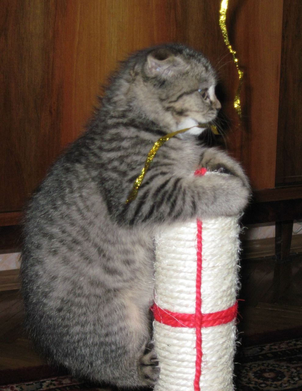 Инга Лагур | Киев