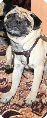 Алексей Филипов -=WTF=- | 