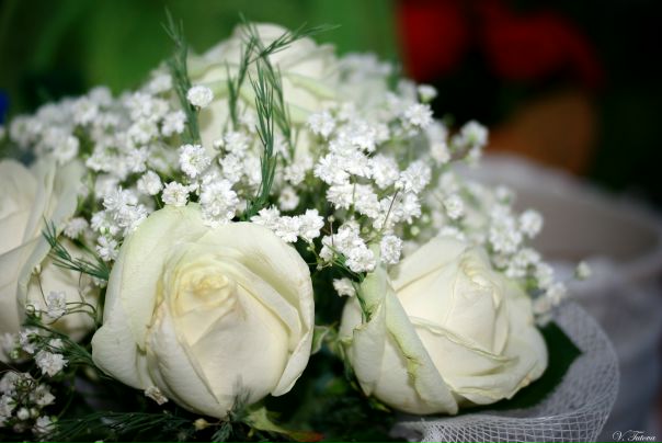 №118, Victoria Tutova, Киев №118, Victoria Tutova, Киев