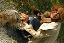 Фотография Смольниковой Ирины