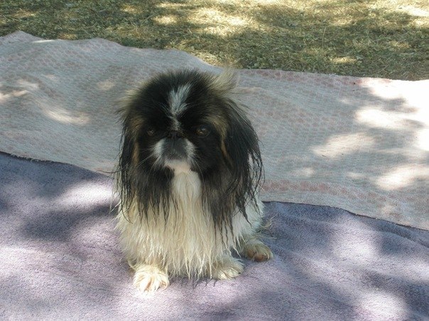 Борис Струмилов | Запорожье