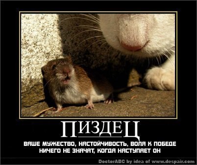 Артем Шульгин | Санкт-Петербург