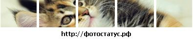 Фотография Лили Данг