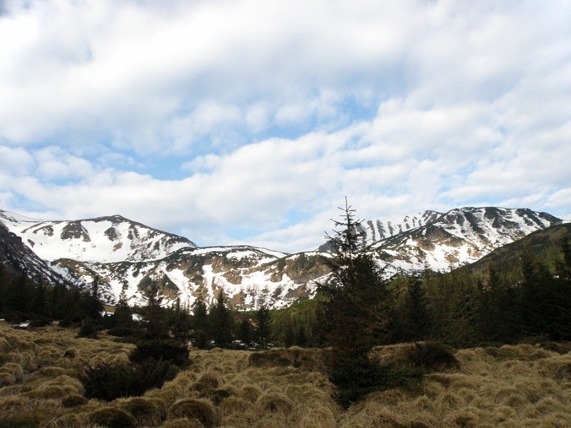 Наталія Тацишин-Войчишин | Ивано-Франковск