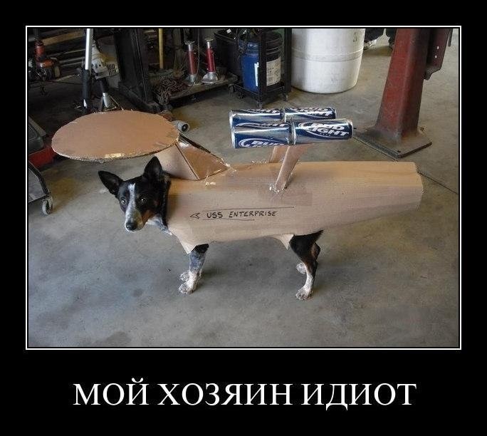 Ксения Лобанова | Москва