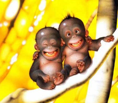 Julia Choi *번데기* | Санкт-Петербург