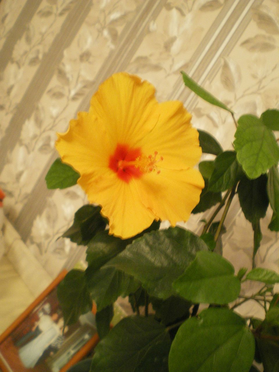 Таня Сафронова <3 Витальку | Москва