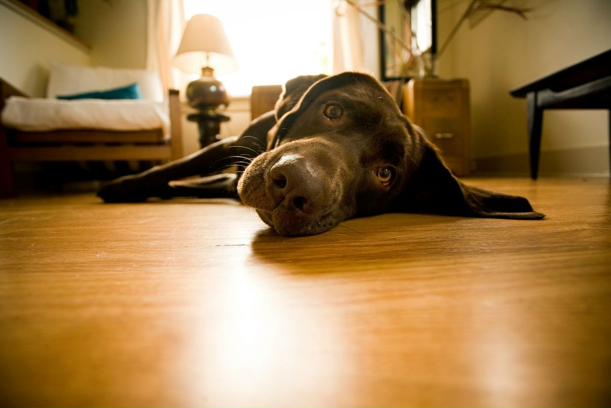 Елена Васильева | Красноярск