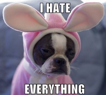 №127, Ольга Петрова, Челябинск №127, Ольга Петрова, Челябинск