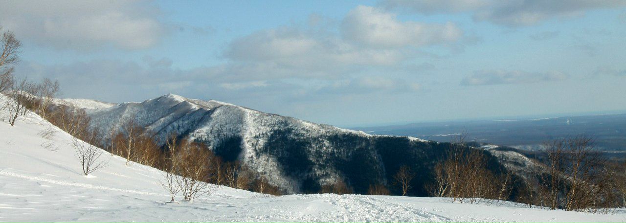 Алексей Скворцов | Южно-Сахалинск