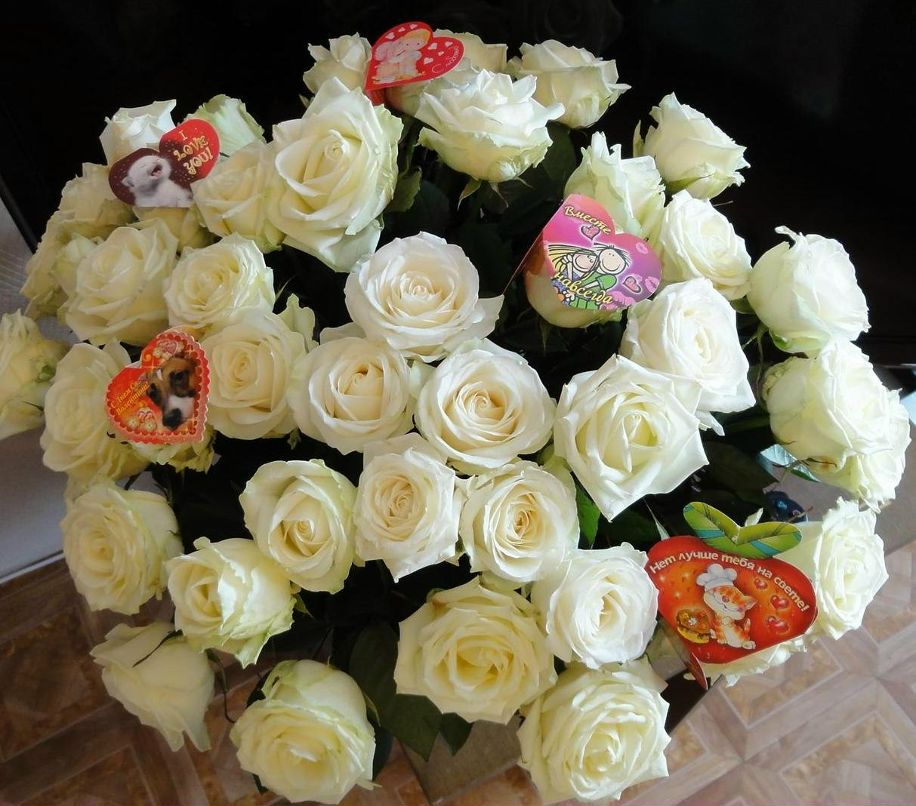 Альбина Биша | Москва