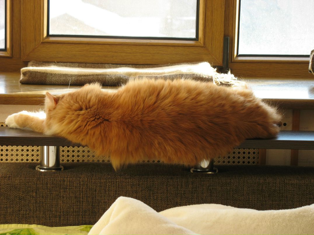 Виктория Смольская | Санкт-Петербург