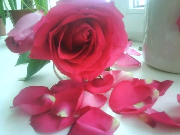 Ирина Гордеева | Санкт-Петербург