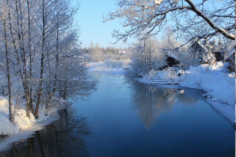 Алексей Селезньов | Санкт-Петербург