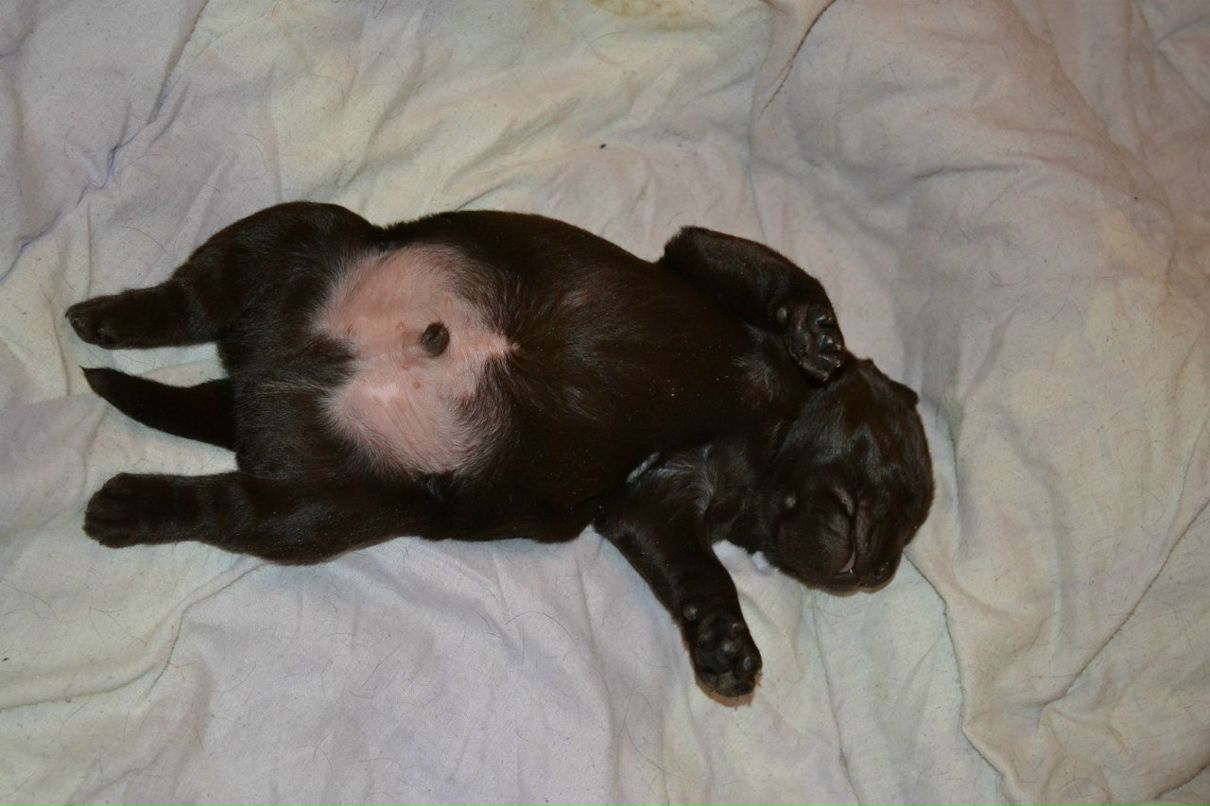 Екатерина Пируева | 