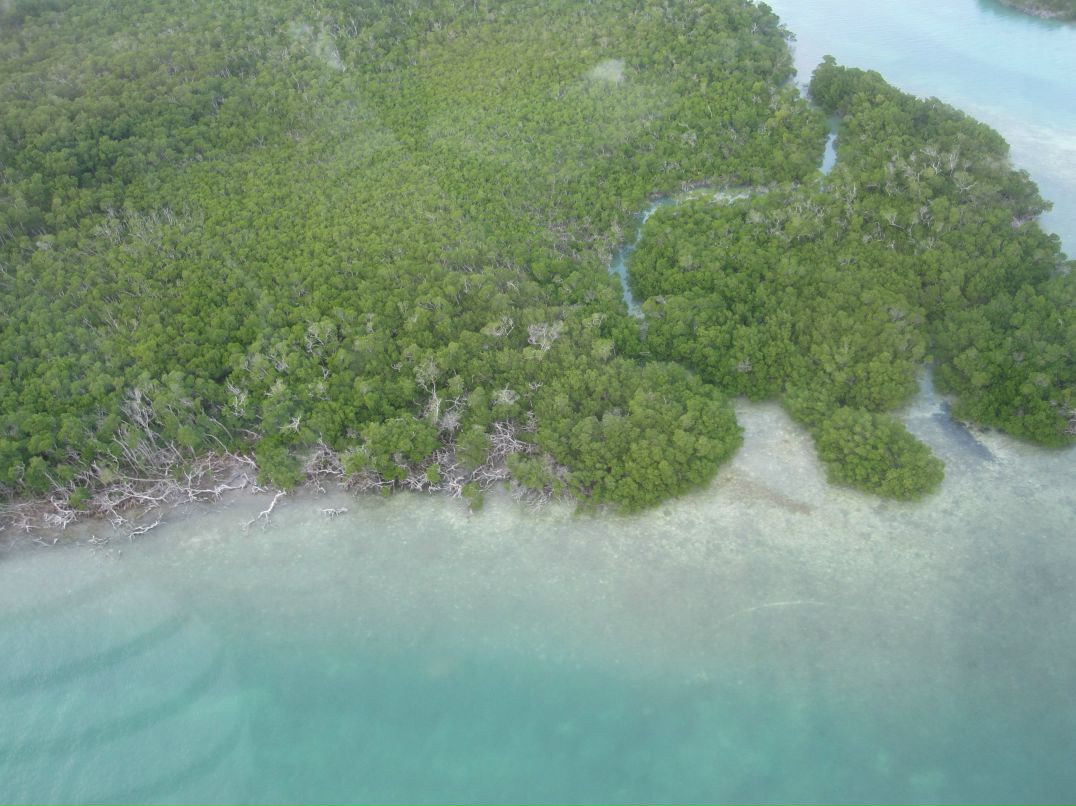 Olesya Greisch-Akhmatgalieva | Бирск