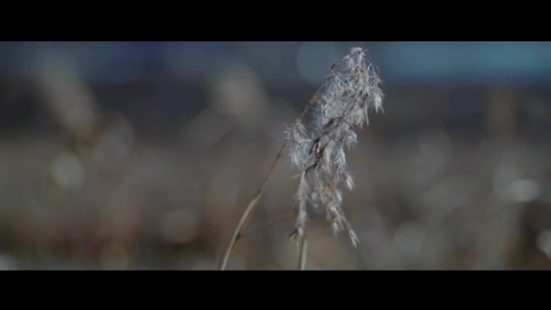 히피는 집시였다 Hippy was Gipsy 한국화 KOREA FLOWER Official M