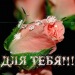 Гульсина Лапина фотография #44 (источник - https://vk.com/id124944958)