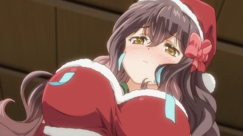 What does ova in anime mean