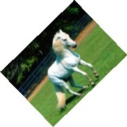 №6, Галина Димитриева №6, Галина Димитриева