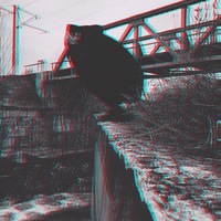 Виталик Попов
